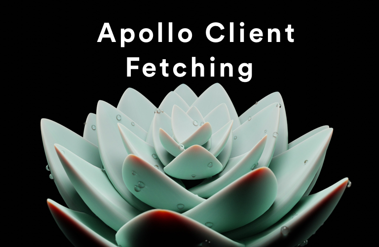 apollo-client-fetching