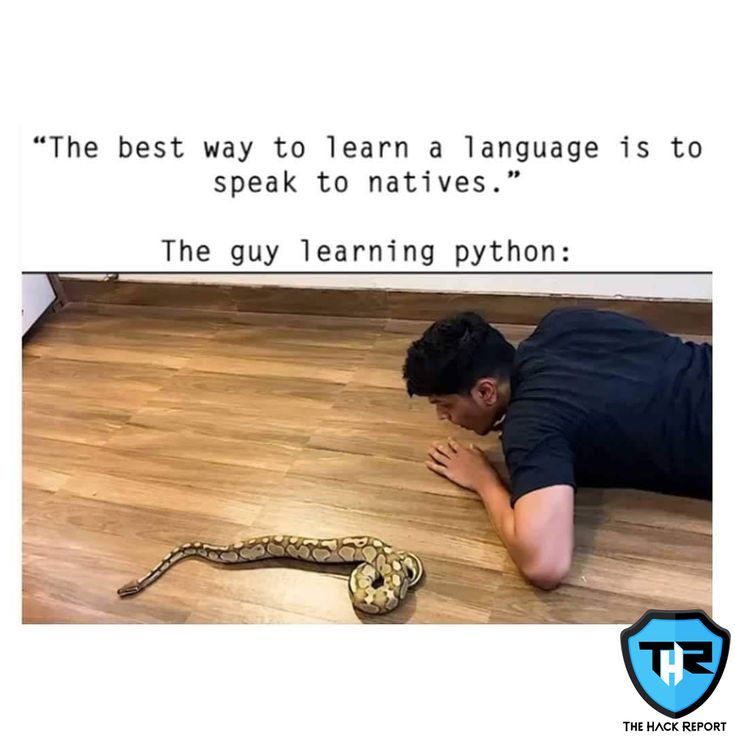 Lập trình web với python